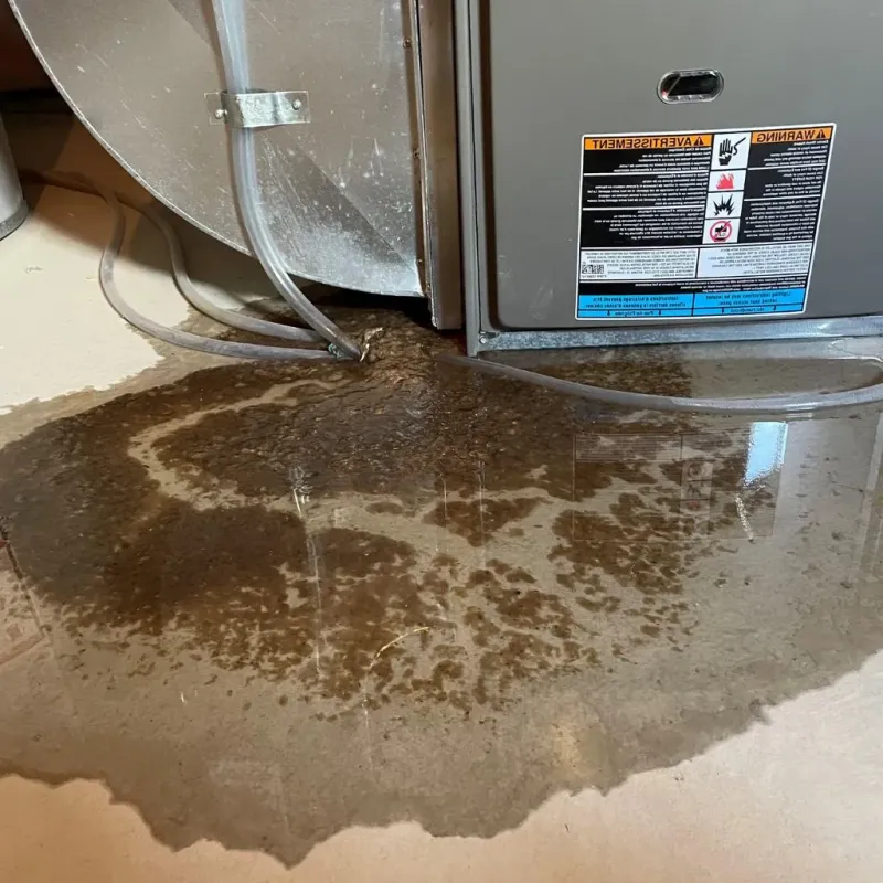 Pipe Burst and Leak Restoration in Ozona, TX