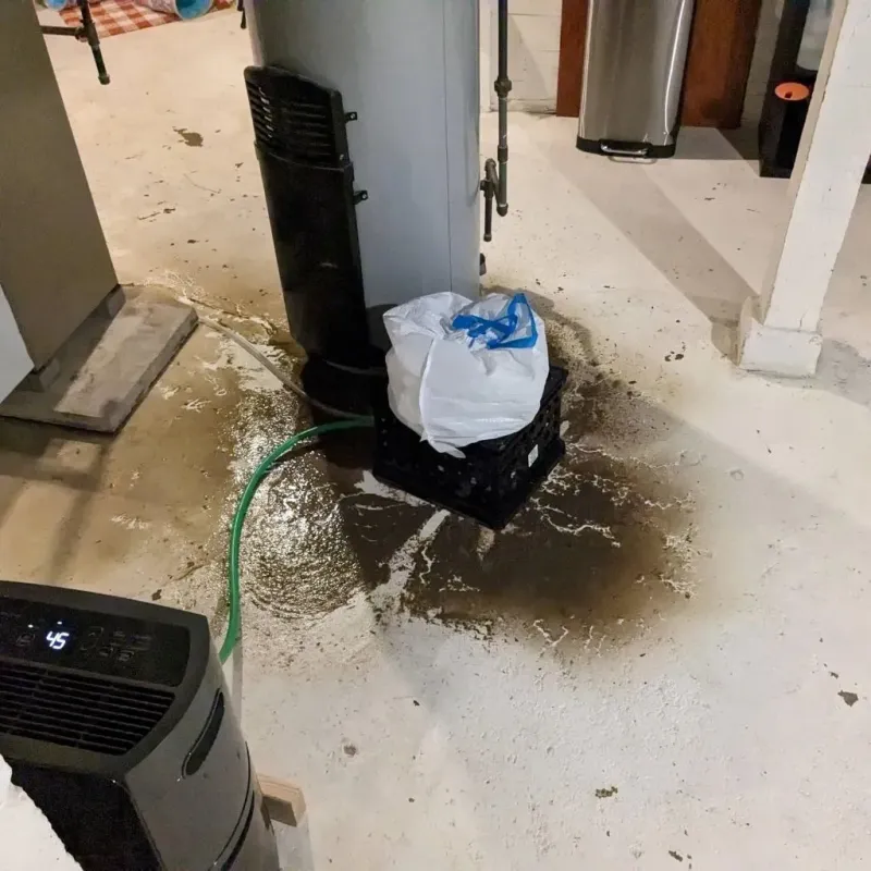 Sewage Backup Cleanup Service in Ozona, TX